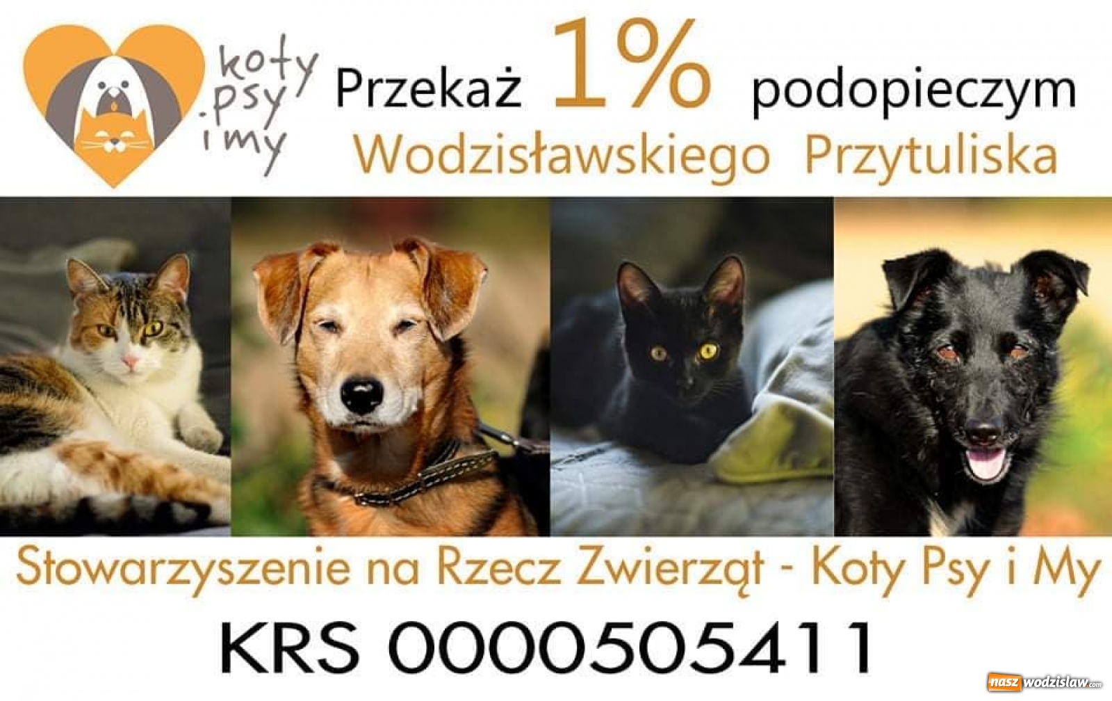 Zdjęcie w galerii na portalu naszwodzislaw.com: Zabierz mnie na spacer lub na całe życie wiadomości z regionu