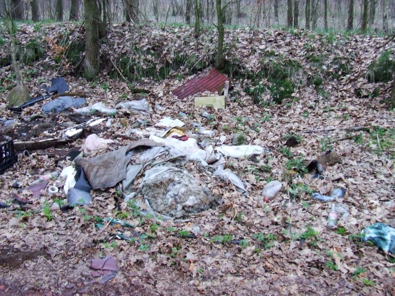 Zdjęcie w galerii na portalu naszwodzislaw.com: Na to można natknąć się w lesie wiadomości z regionu