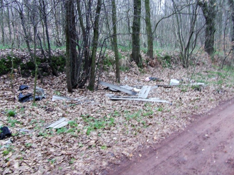 Zdjęcie w galerii na portalu naszwodzislaw.com: Na to można natknąć się w lesie wiadomości z regionu