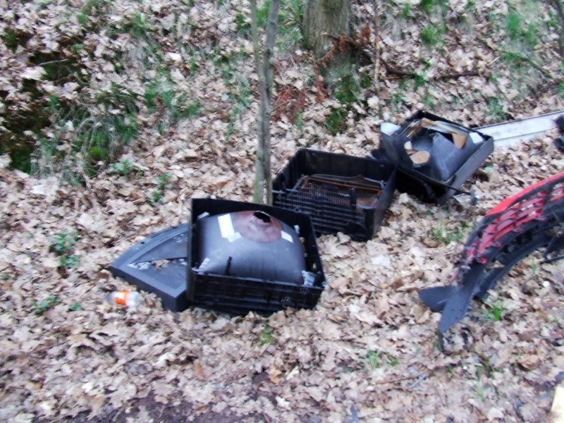 Zdjęcie w galerii na portalu naszwodzislaw.com: Na to można natknąć się w lesie wiadomości z regionu