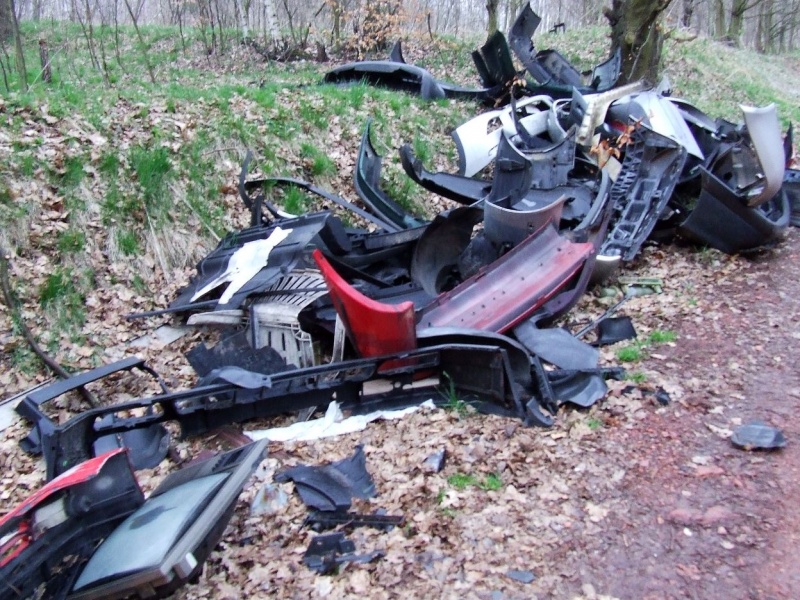 Zdjęcie w galerii na portalu naszwodzislaw.com: Na to można natknąć się w lesie wiadomości z regionu