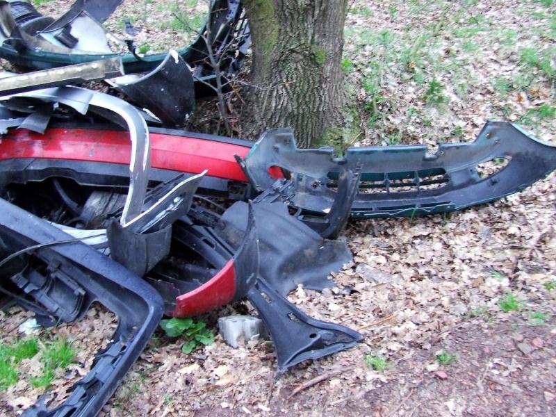 Zdjęcie w galerii na portalu naszwodzislaw.com: Na to można natknąć się w lesie wiadomości z regionu