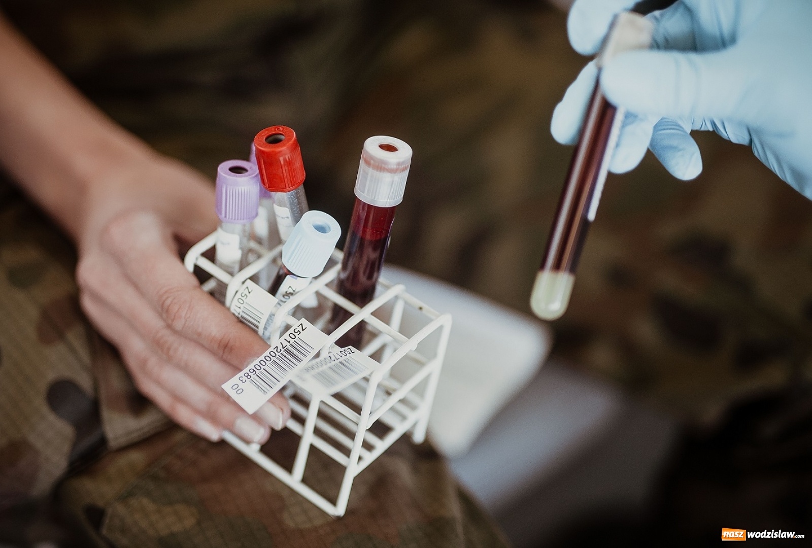 Zdjęcie w galerii na portalu naszwodzislaw.com: Terytorialsi reagują na apele centrów krwiodawstwa wiadomości z regionu