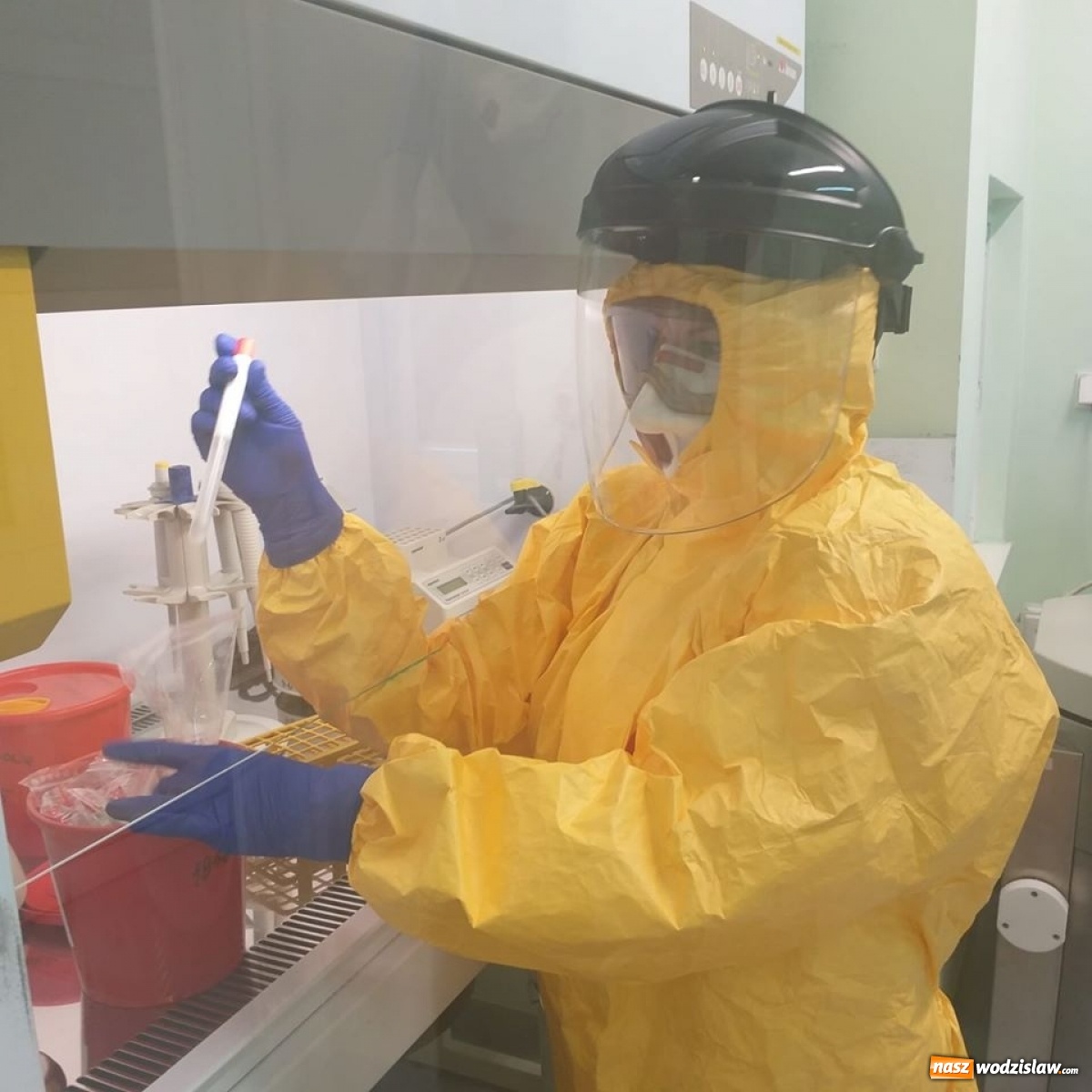 Zdjęcie w galerii na portalu naszwodzislaw.com: Tu wykonywane są testy na obecność koronawirusa [FOTO] wiadomości z regionu