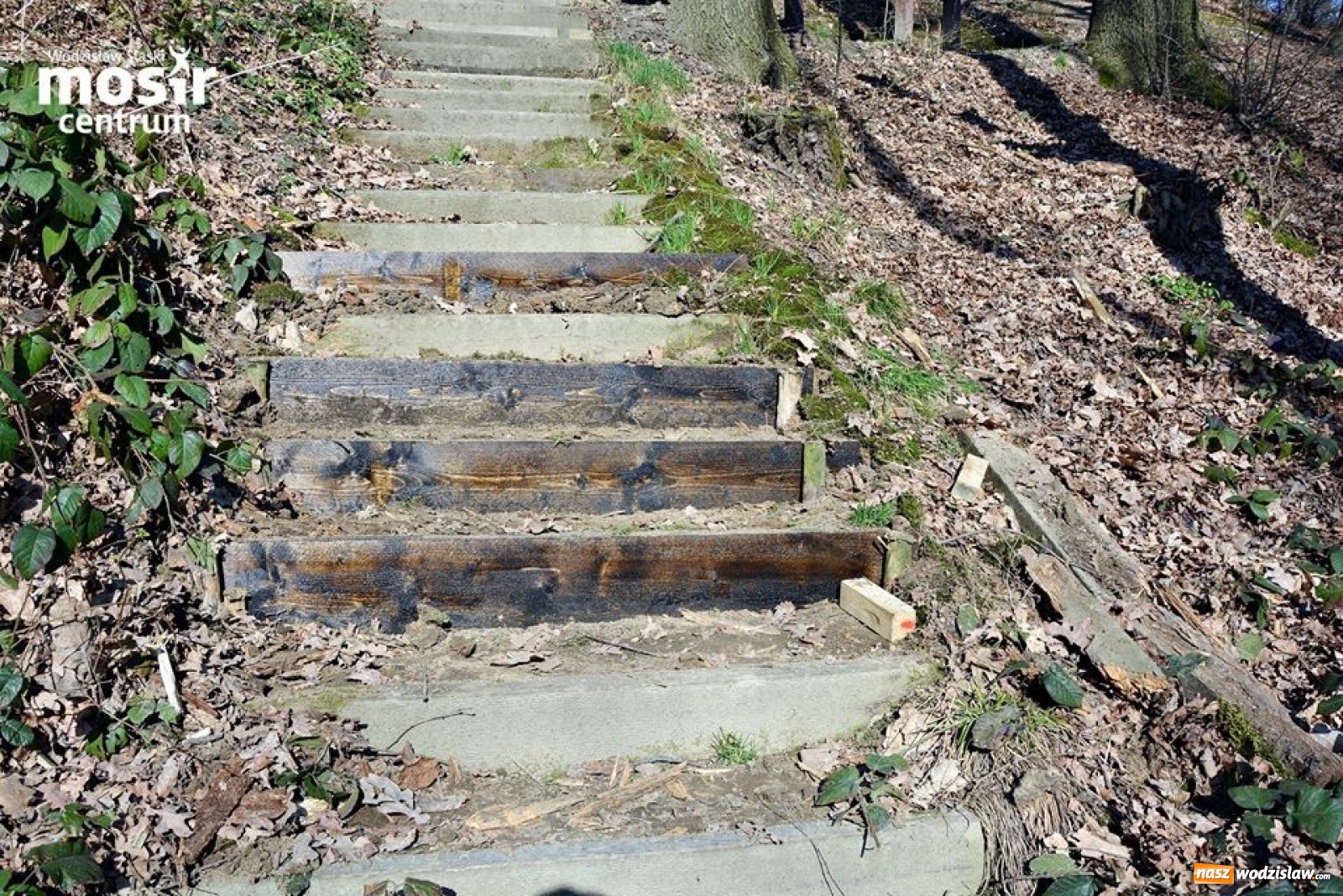 Zdjęcie w galerii na portalu naszwodzislaw.com: Prace konserwacyjne i pielęgnacyjne w MOSiR Centrum wiadomości z regionu