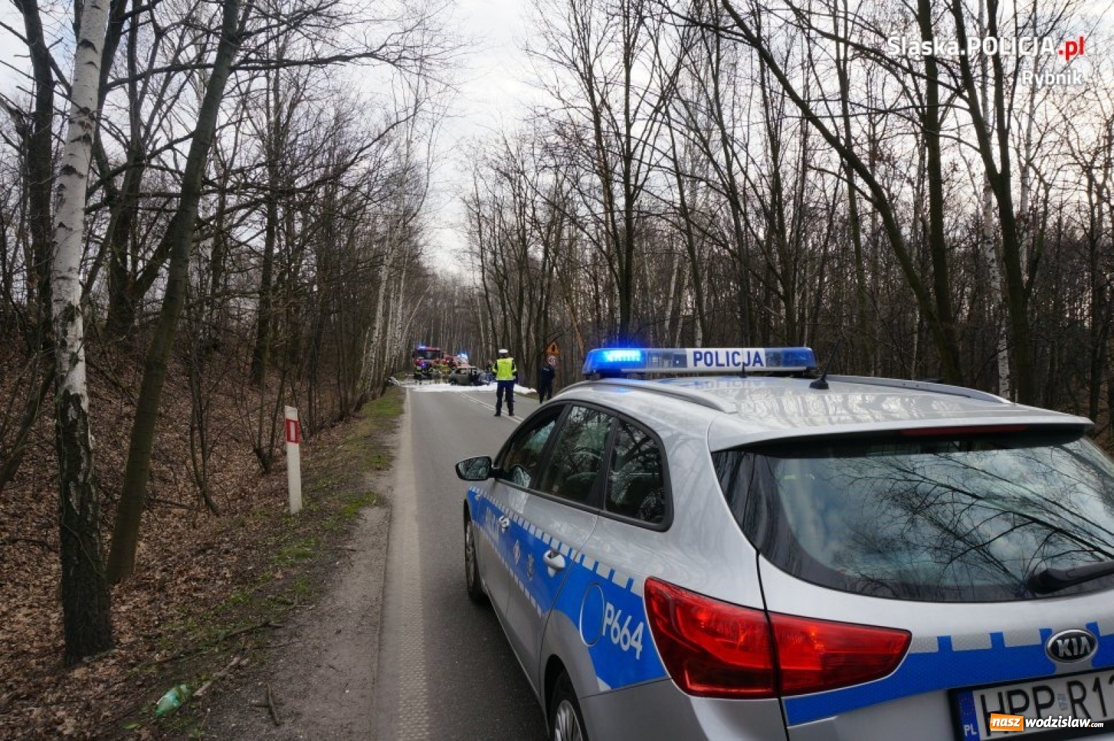Zdjęcie w galerii na portalu naszwodzislaw.com: Tragedia w Rybniku. Samochód uderzył w drzewo i stanął w płomieniach [FOTO i WIDEO] wiadomości z regionu