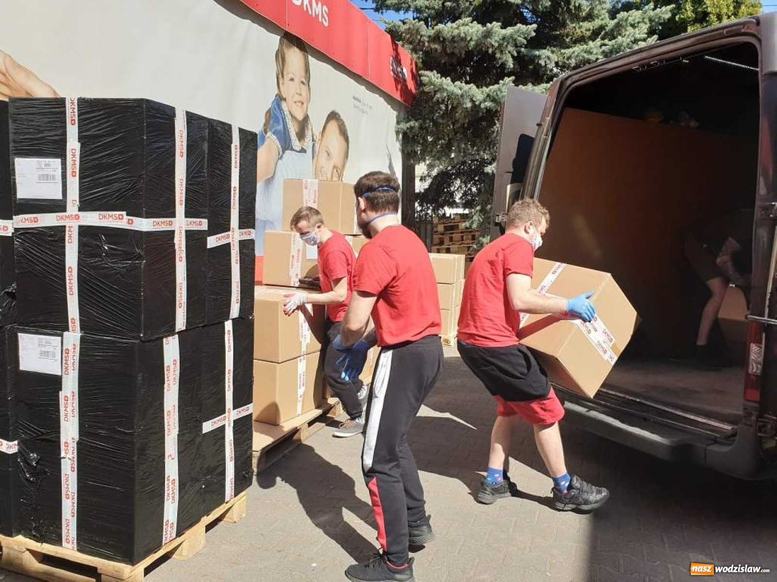 Zdjęcie w galerii na portalu naszwodzislaw.com: Fundacja DKMS wsparła kliniki transplantacji szpiku wiadomości z regionu