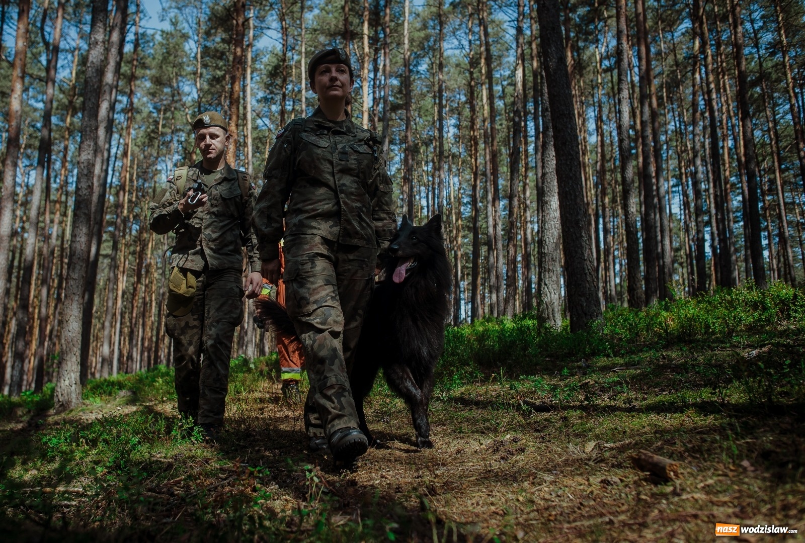 Zdjęcie w galerii na portalu naszwodzislaw.com: Pierwszy pies ratowniczy w Wojsku Polskim wiadomości z regionu