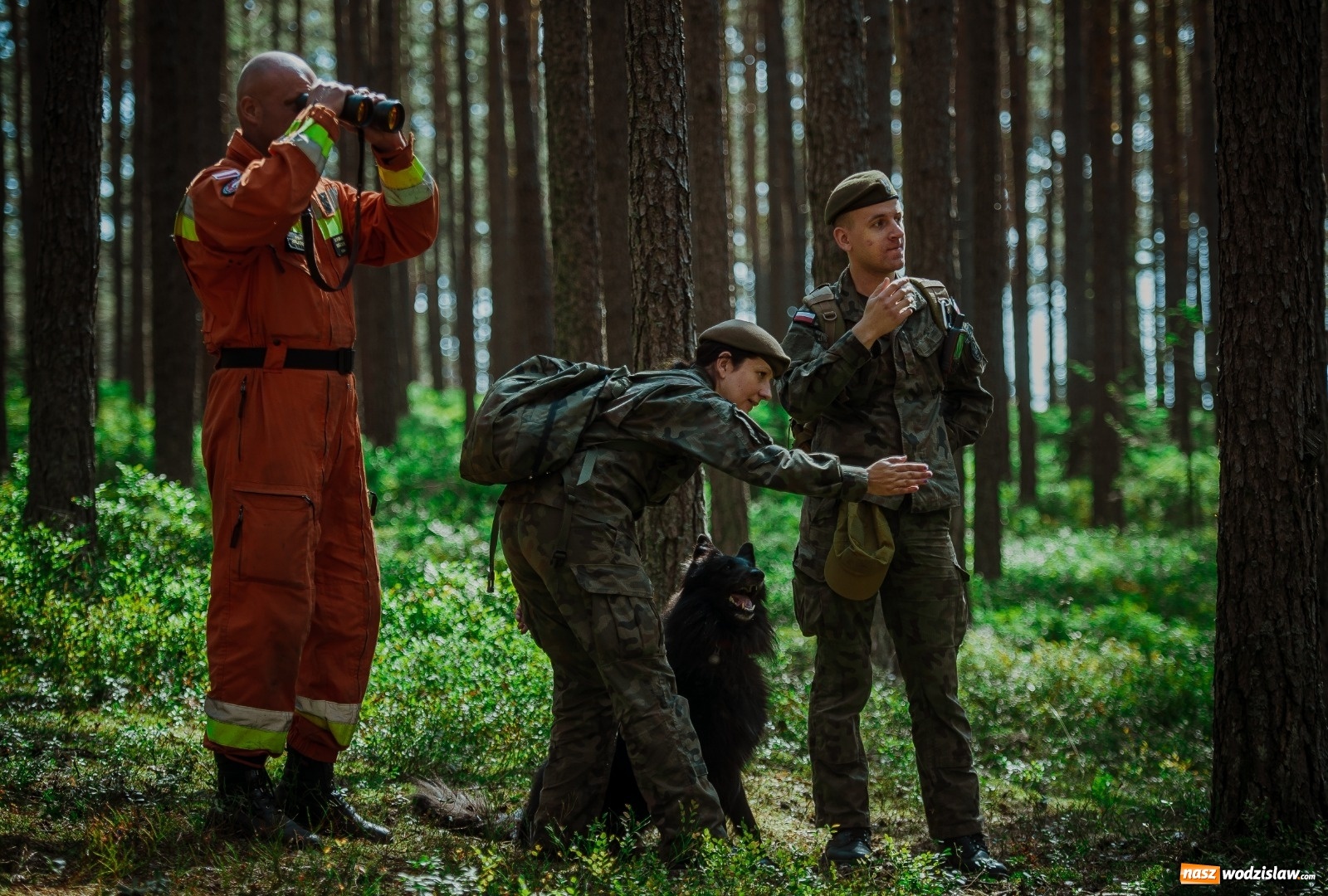 Zdjęcie w galerii na portalu naszwodzislaw.com: Pierwszy pies ratowniczy w Wojsku Polskim wiadomości z regionu