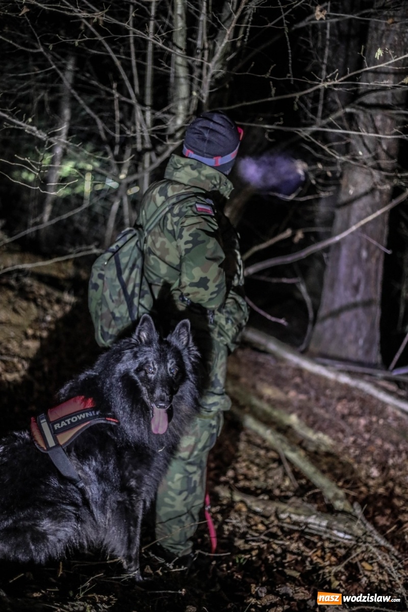 Zdjęcie w galerii na portalu naszwodzislaw.com: Pierwszy pies ratowniczy w Wojsku Polskim wiadomości z regionu