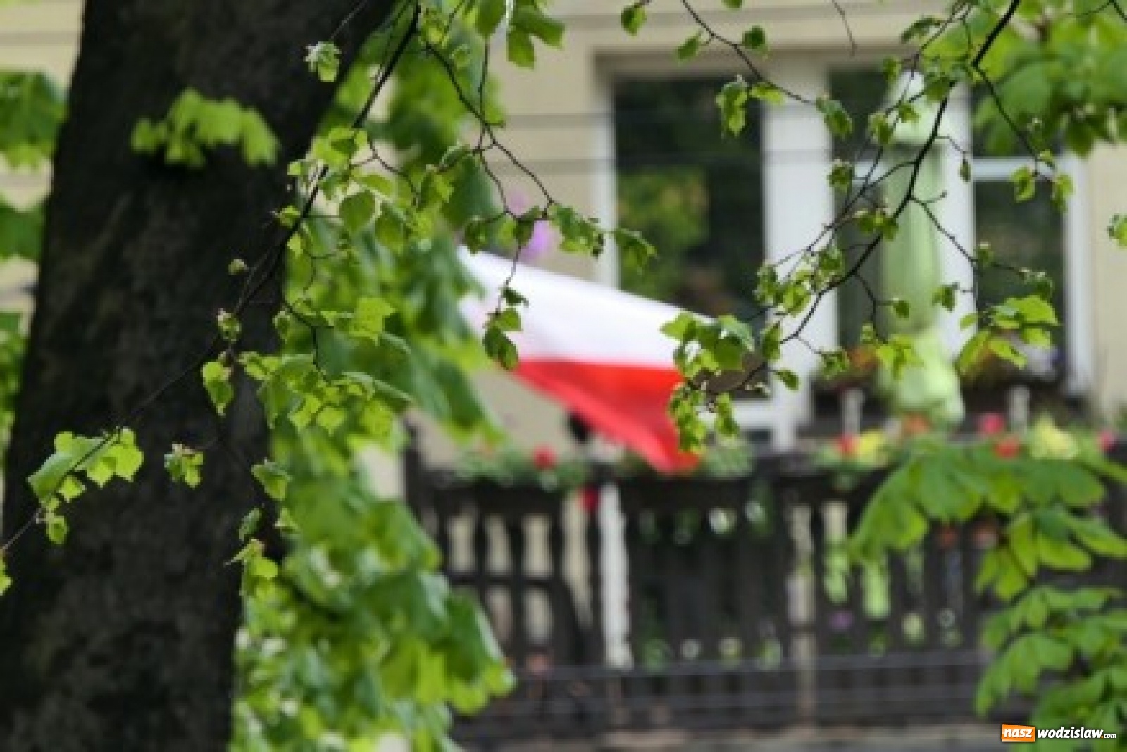 Zdjęcie w galerii na portalu naszwodzislaw.com: Jak 3 Maja świętowano w Pszowie? wiadomości z regionu