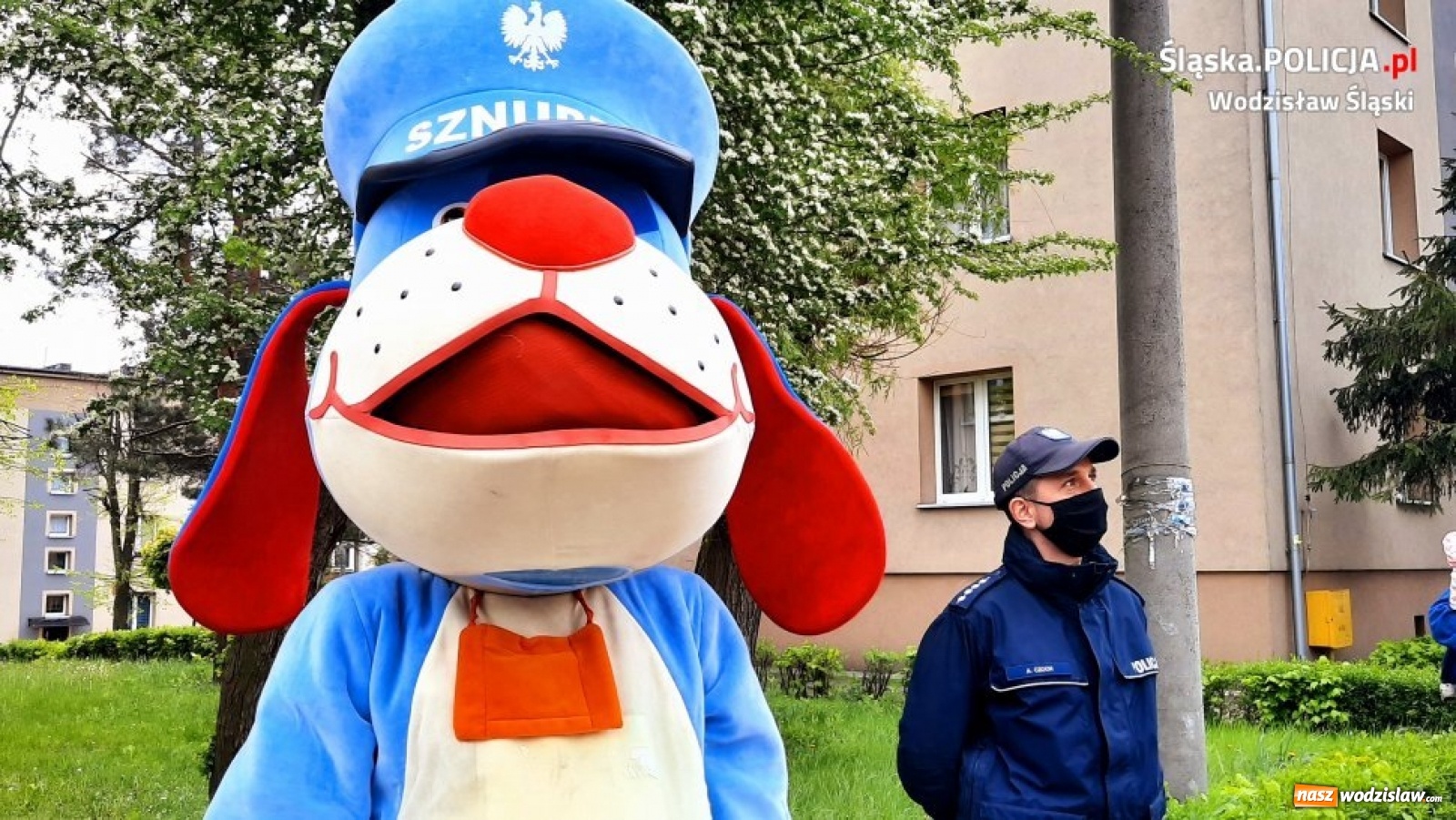 Zdjęcie w galerii na portalu naszwodzislaw.com: Urodzinowa niespodzianka dla 4-latka z Radlina wiadomości z regionu