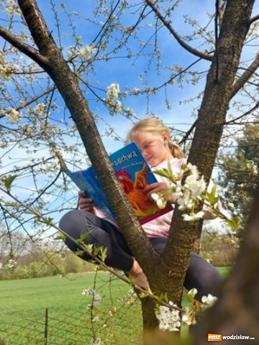 Zdjęcie w galerii na portalu naszwodzislaw.com: Dziś święto bibliotekarzy i bibliotek. Akcja Biblioteczka w Połomi wiadomości z regionu