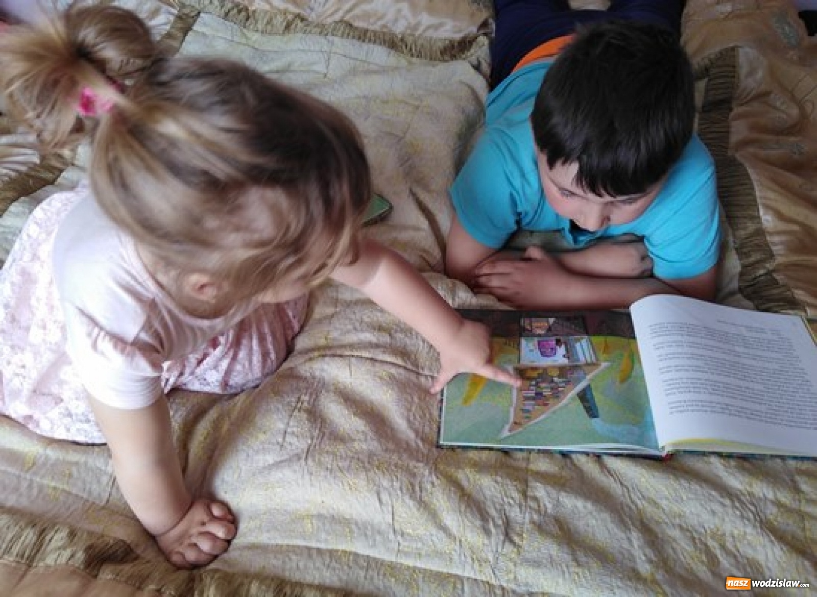 Zdjęcie w galerii na portalu naszwodzislaw.com: Dziś święto bibliotekarzy i bibliotek. Akcja Biblioteczka w Połomi wiadomości z regionu