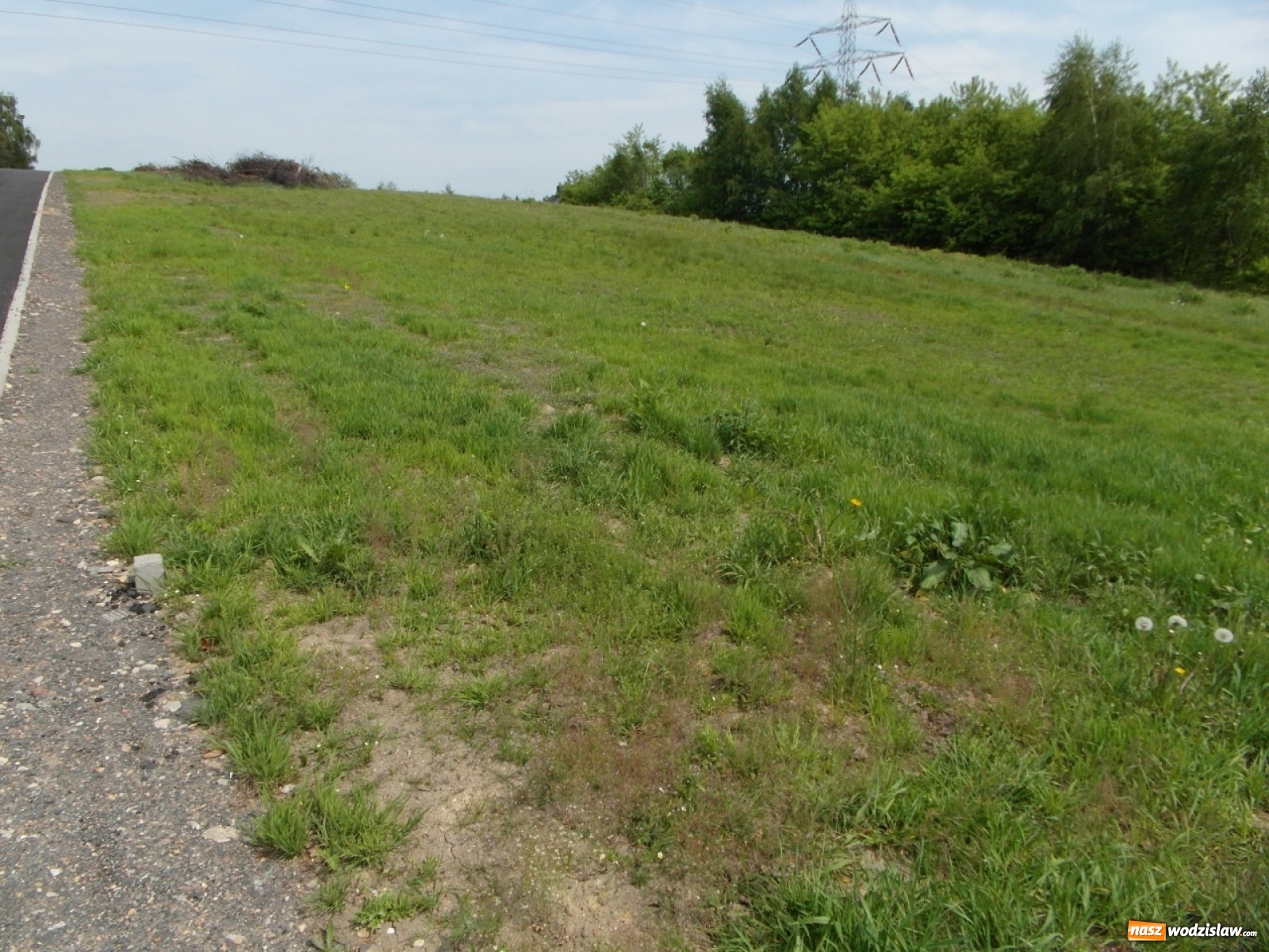 Zdjęcie w galerii na portalu naszwodzislaw.com: Miasto planuje sprzedać działki przy Żwirki i Wigury wiadomości z regionu