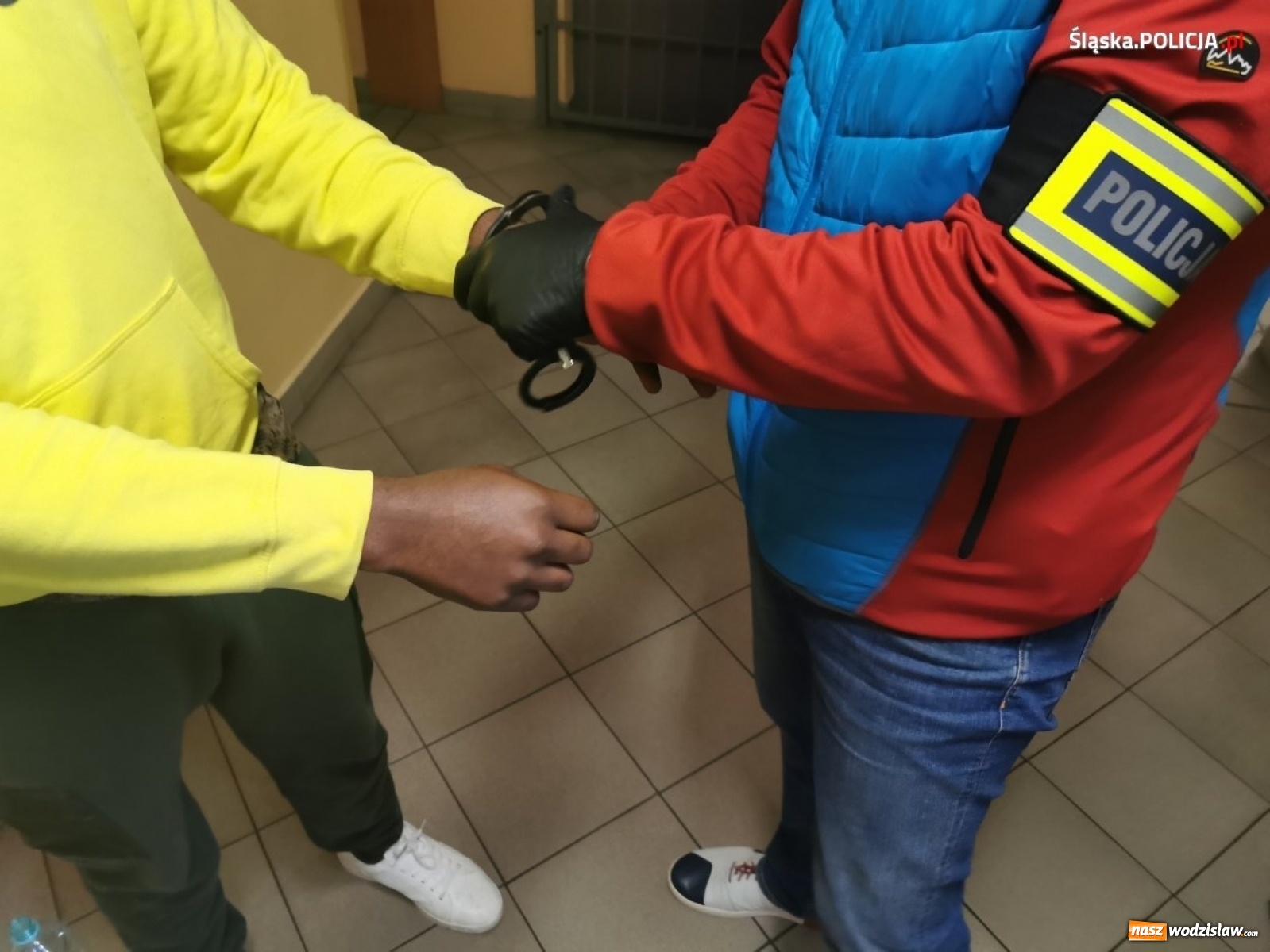 Zdjęcie w galerii na portalu naszwodzislaw.com: Śląska policja zatrzymała członków międzynarodowego gangu wiadomości z regionu