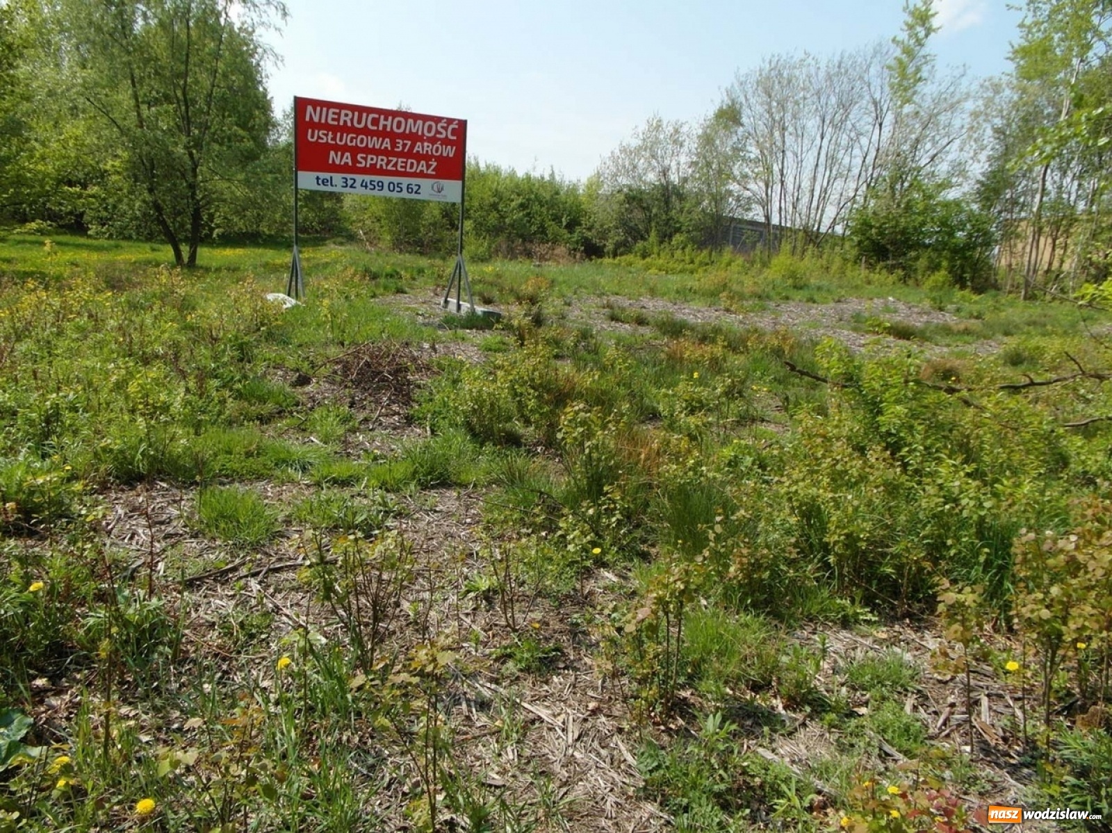 Zdjęcie w galerii na portalu naszwodzislaw.com: Drugie podejście wodzisławskiego magistratu do sprzedaży terenów przy ulicy Mieszka wiadomości z regionu