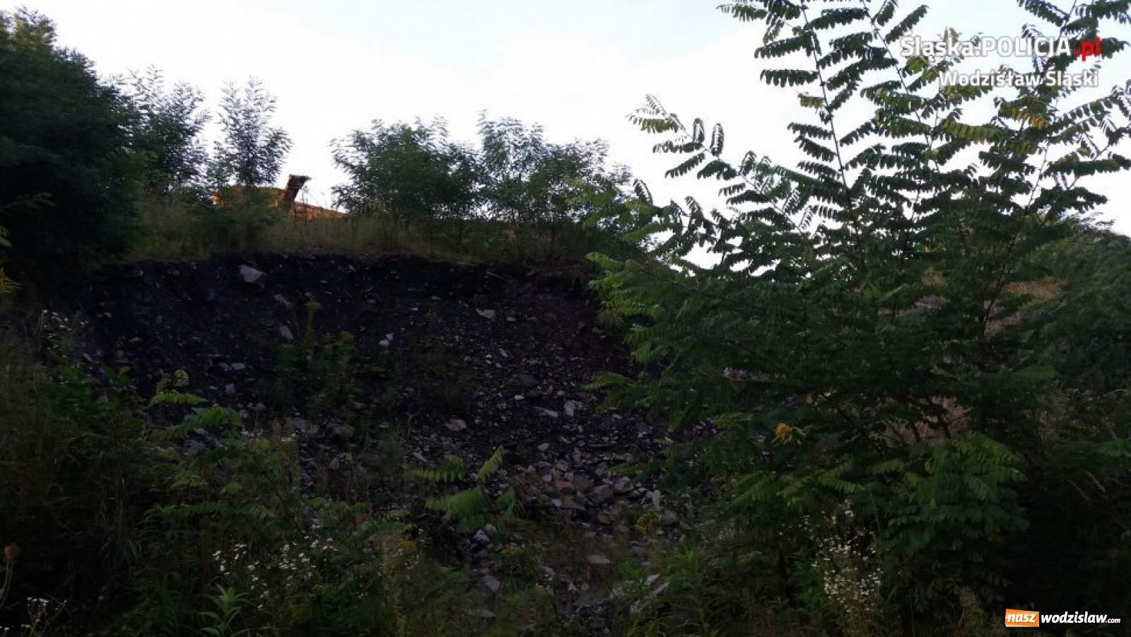 Zdjęcie w galerii na portalu naszwodzislaw.com: Eksploatowali złoża bez koncesji. Grozi im więzienie wiadomości z regionu