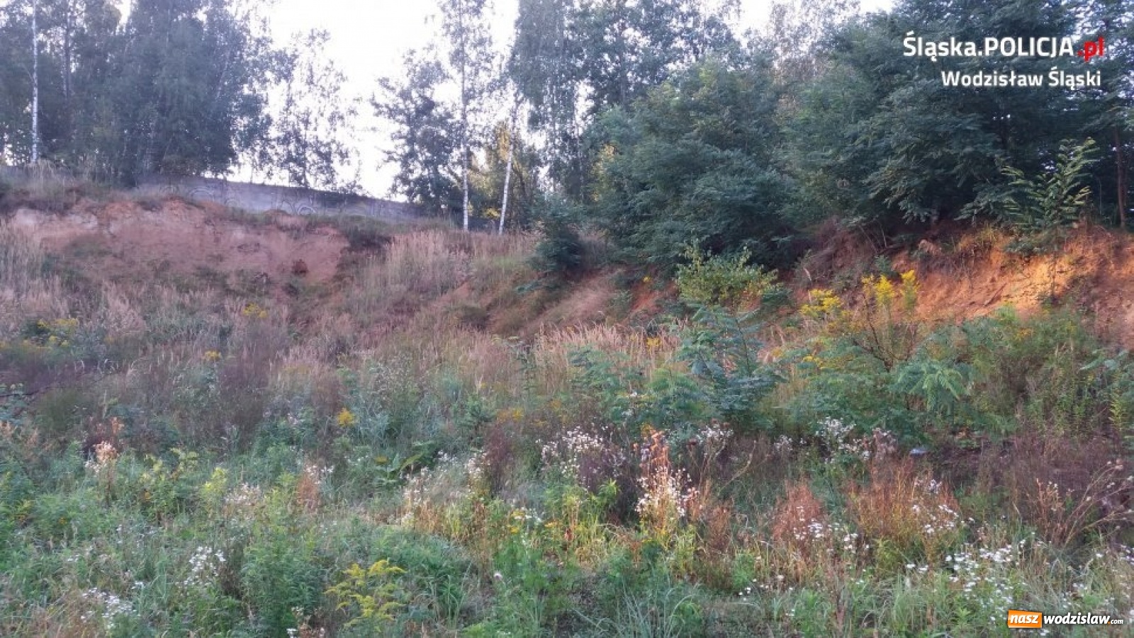 Zdjęcie w galerii na portalu naszwodzislaw.com: Eksploatowali złoża bez koncesji. Grozi im więzienie wiadomości z regionu