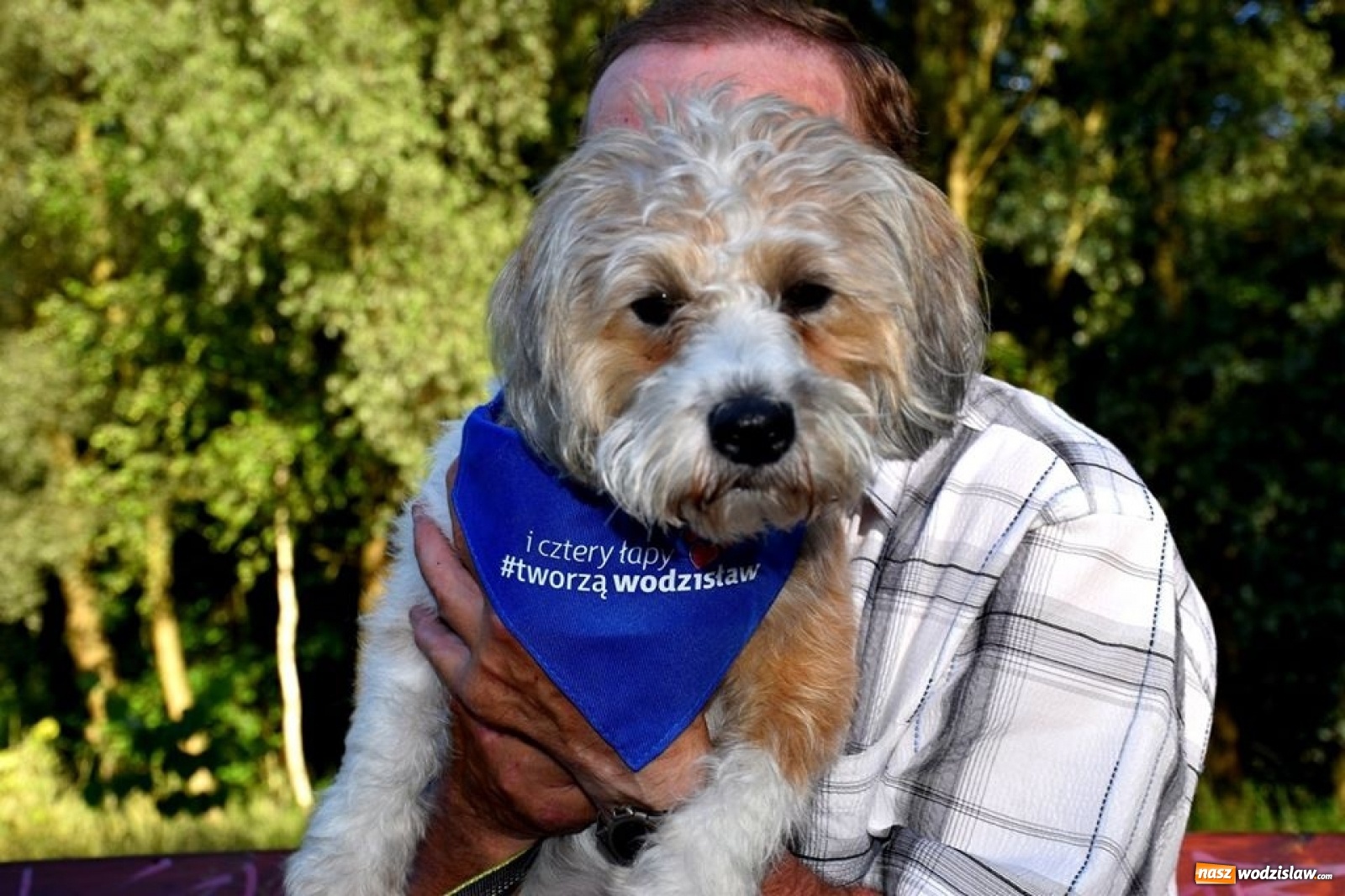 Zdjęcie w galerii na portalu naszwodzislaw.com: To był udany spacer z czworonogami [FOTO] wiadomości z regionu