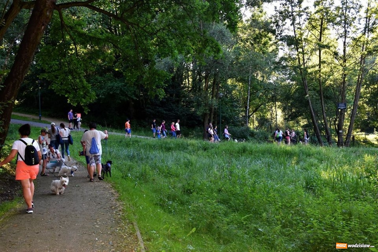 Zdjęcie w galerii na portalu naszwodzislaw.com: To był udany spacer z czworonogami [FOTO] wiadomości z regionu