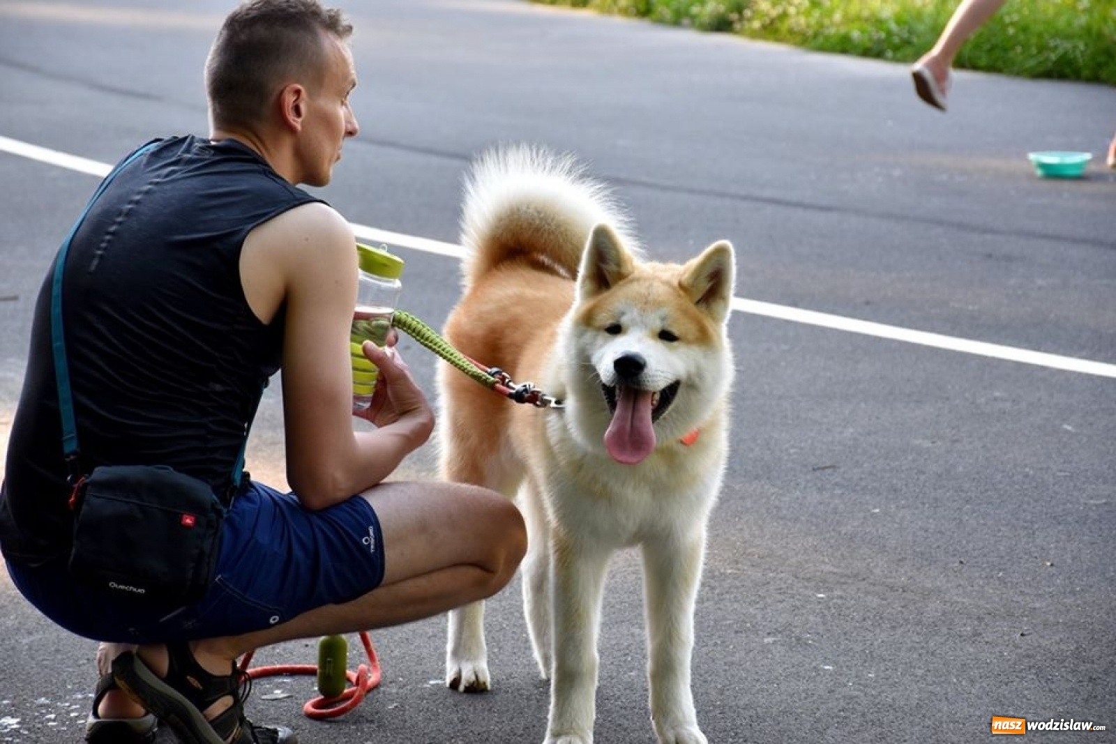 Zdjęcie w galerii na portalu naszwodzislaw.com: To był udany spacer z czworonogami [FOTO] wiadomości z regionu