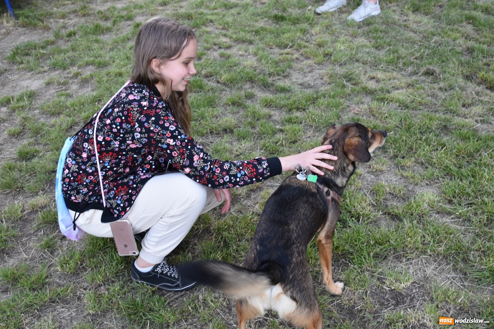 Zdjęcie w galerii na portalu naszwodzislaw.com: Psie porady behawioralne w Wodzisławiu Śląskim wiadomości z regionu
