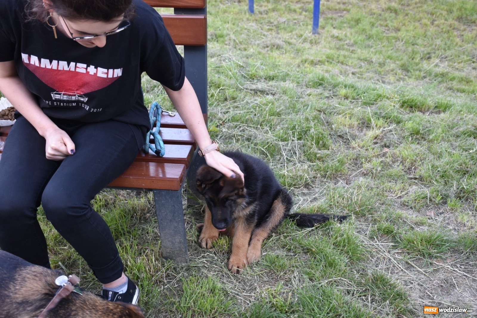 Zdjęcie w galerii na portalu naszwodzislaw.com: Psie porady behawioralne w Wodzisławiu Śląskim wiadomości z regionu