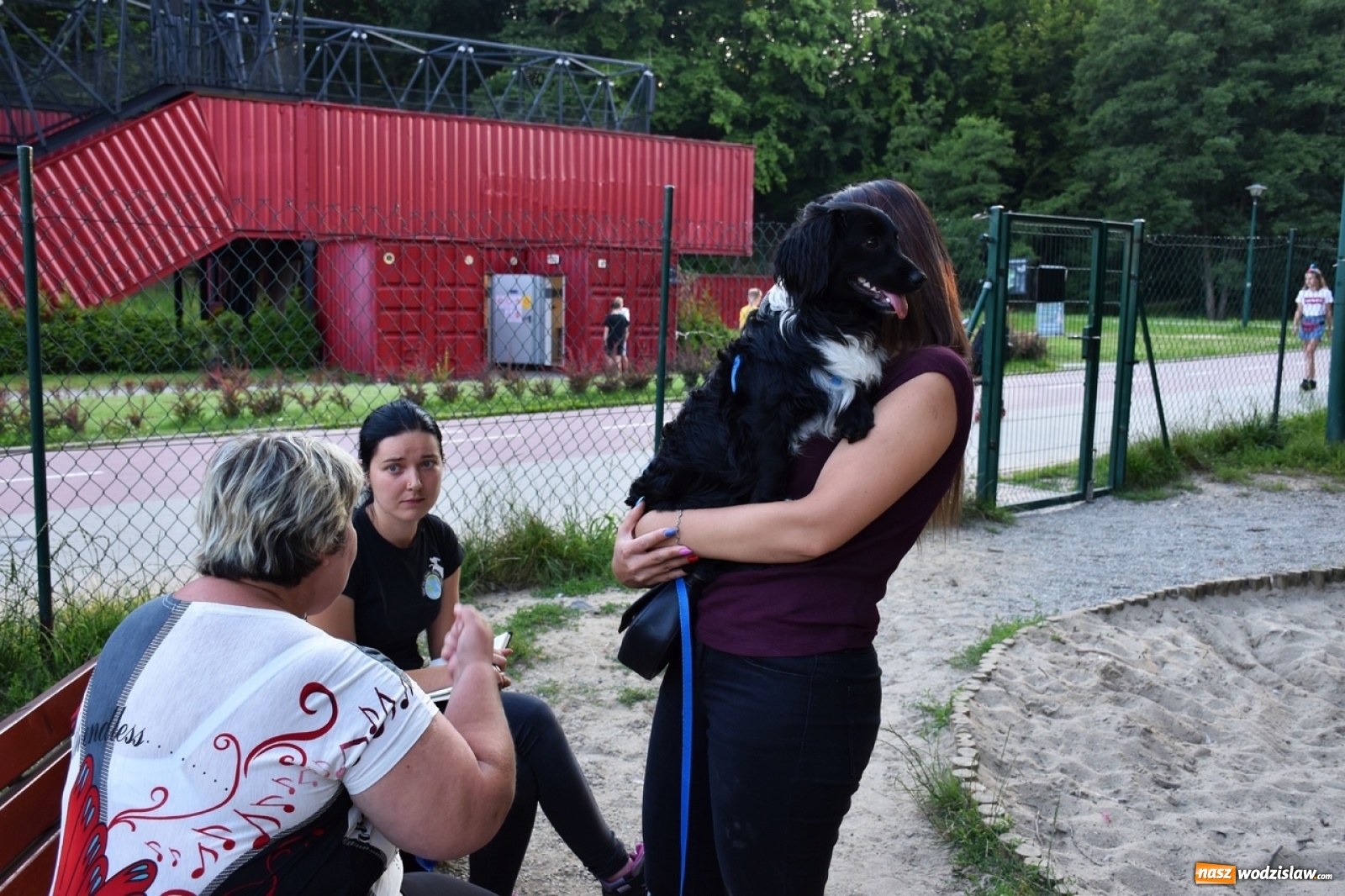 Zdjęcie w galerii na portalu naszwodzislaw.com: Kolejne psie porady behawioralne za nami [FOTO] wiadomości z regionu