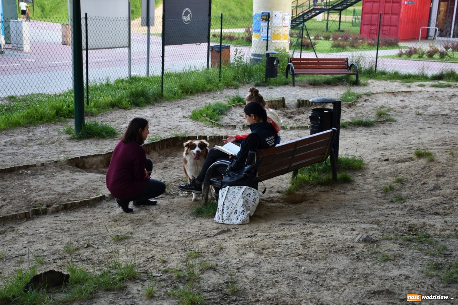 Zdjęcie w galerii na portalu naszwodzislaw.com: Kolejne psie porady behawioralne za nami [FOTO] wiadomości z regionu