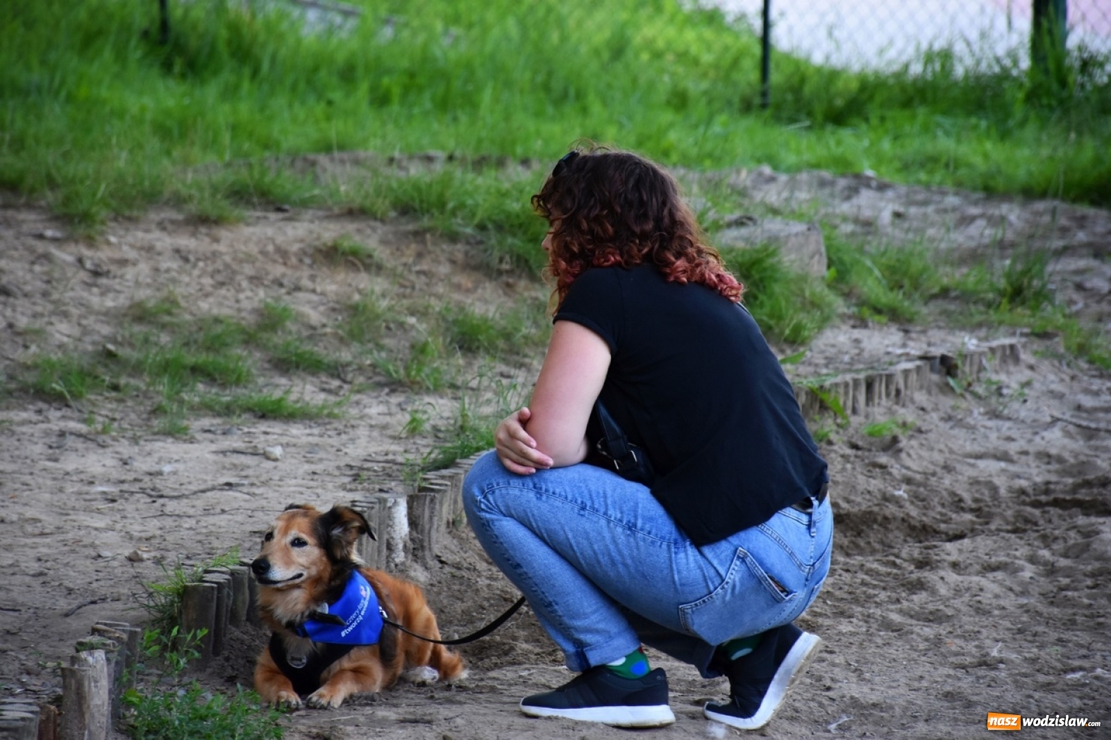 Zdjęcie w galerii na portalu naszwodzislaw.com: Kolejne psie porady behawioralne za nami [FOTO] wiadomości z regionu