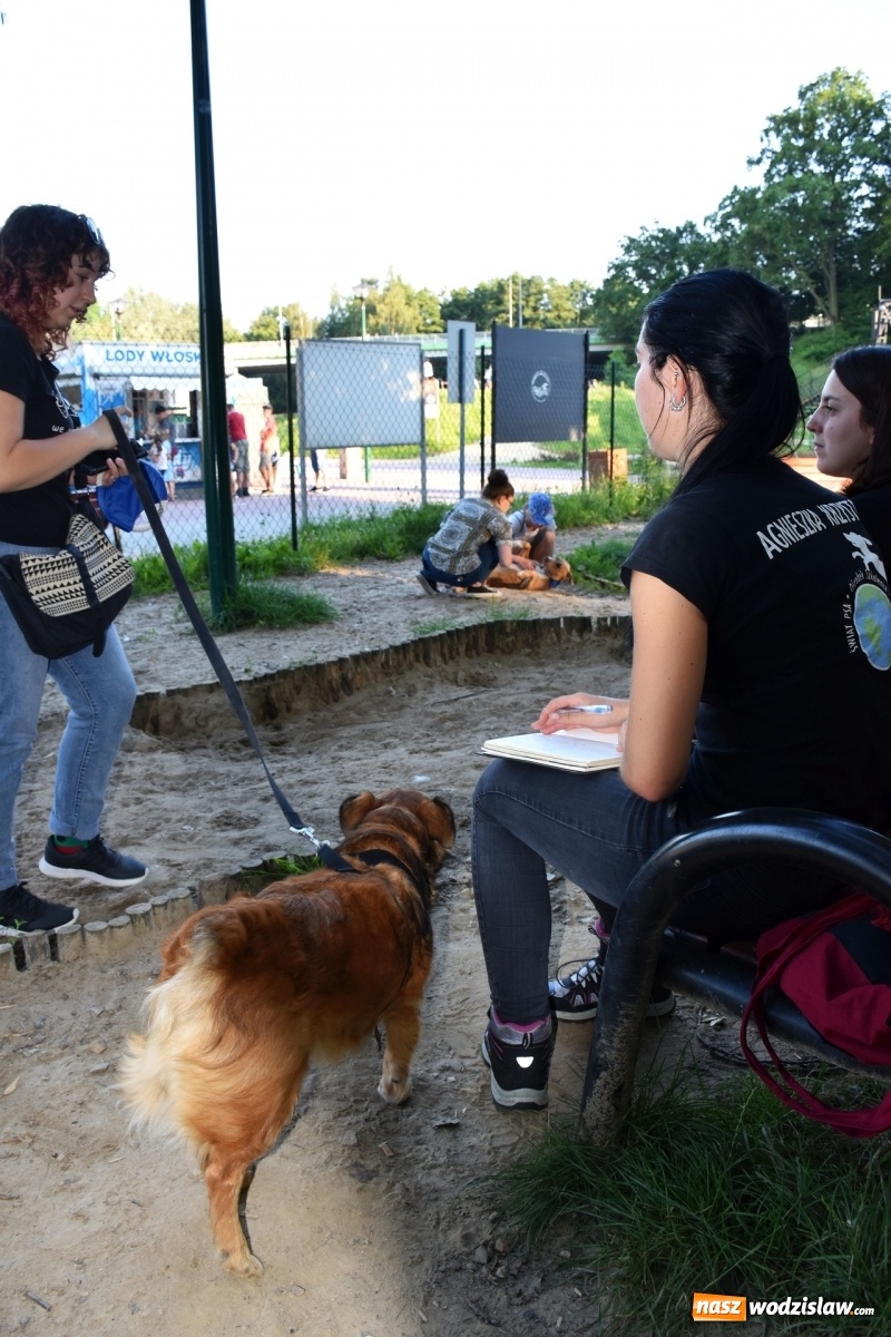Zdjęcie w galerii na portalu naszwodzislaw.com: Kolejne psie porady behawioralne za nami [FOTO] wiadomości z regionu