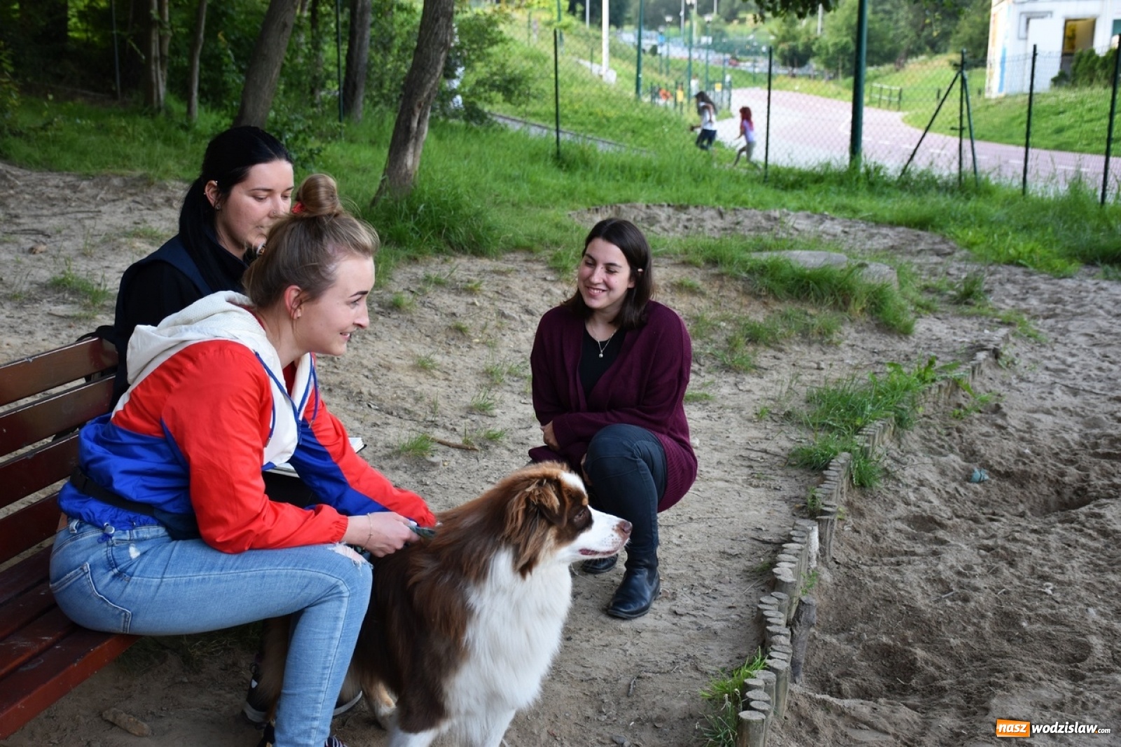 Zdjęcie w galerii na portalu naszwodzislaw.com: Kolejne psie porady behawioralne za nami [FOTO] wiadomości z regionu