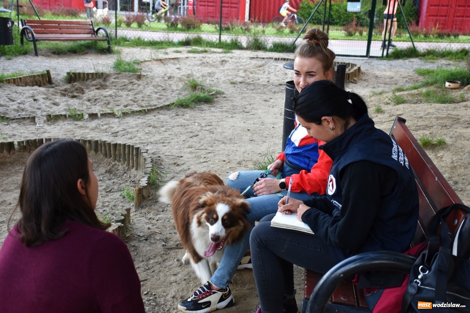 Zdjęcie w galerii na portalu naszwodzislaw.com: Kolejne psie porady behawioralne za nami [FOTO] wiadomości z regionu