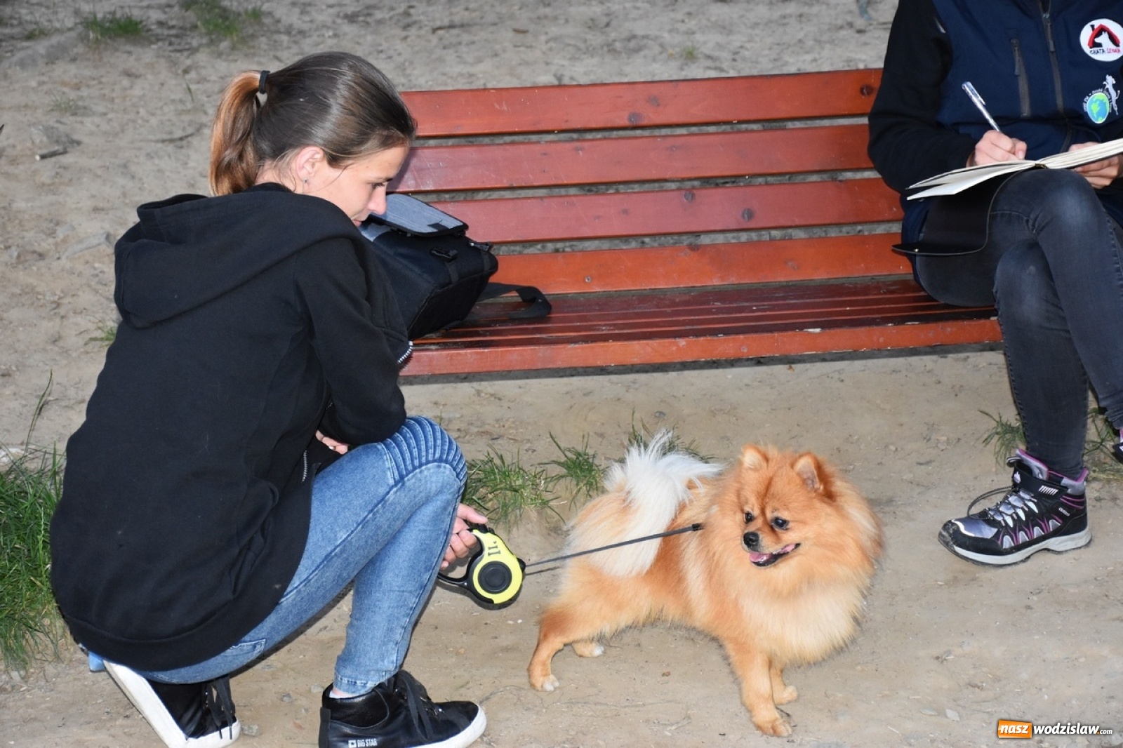 Zdjęcie w galerii na portalu naszwodzislaw.com: Kolejne psie porady behawioralne za nami [FOTO] wiadomości z regionu