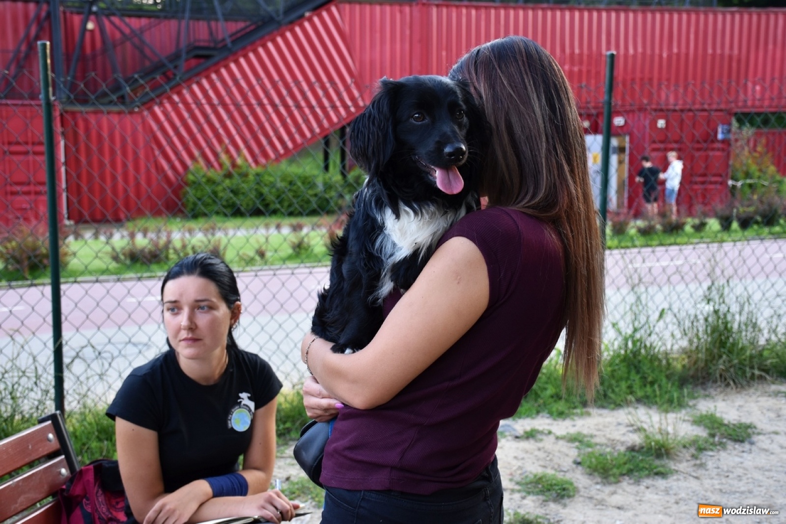 Zdjęcie w galerii na portalu naszwodzislaw.com: Kolejne psie porady behawioralne za nami [FOTO] wiadomości z regionu