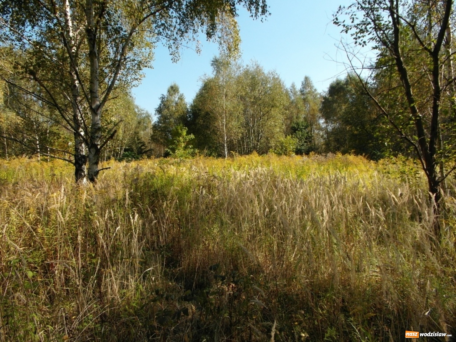 Zdjęcie w galerii na portalu naszwodzislaw.com: Ogłoszono przetarg na sprzedaż nieruchomości mieszkaniowych wiadomości z regionu