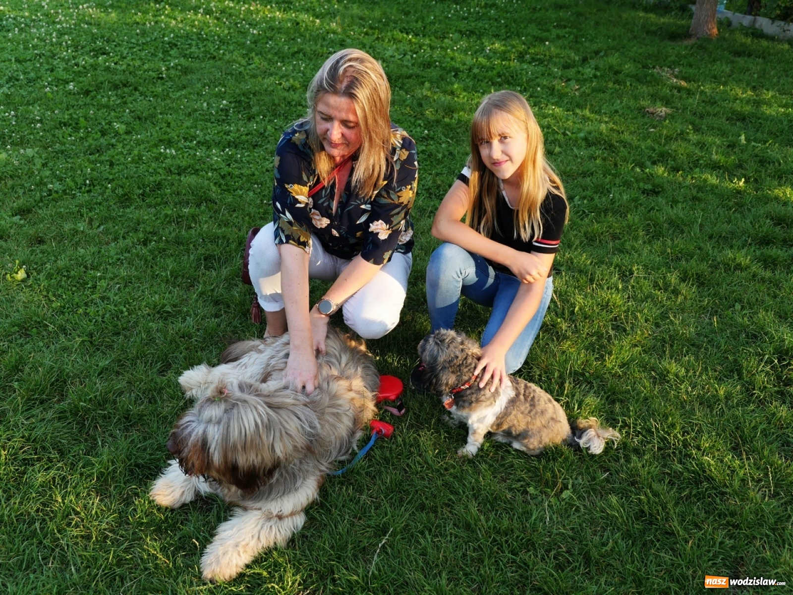 Zdjęcie w galerii na portalu naszwodzislaw.com: Porady behawioralne cieszą się zainteresowaniem wiadomości z regionu