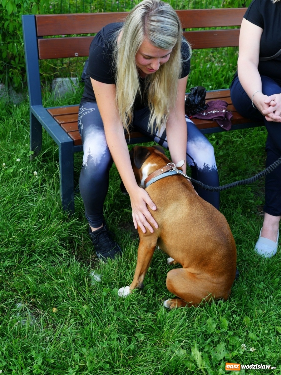 Zdjęcie w galerii na portalu naszwodzislaw.com: Porady behawioralne cieszą się zainteresowaniem wiadomości z regionu