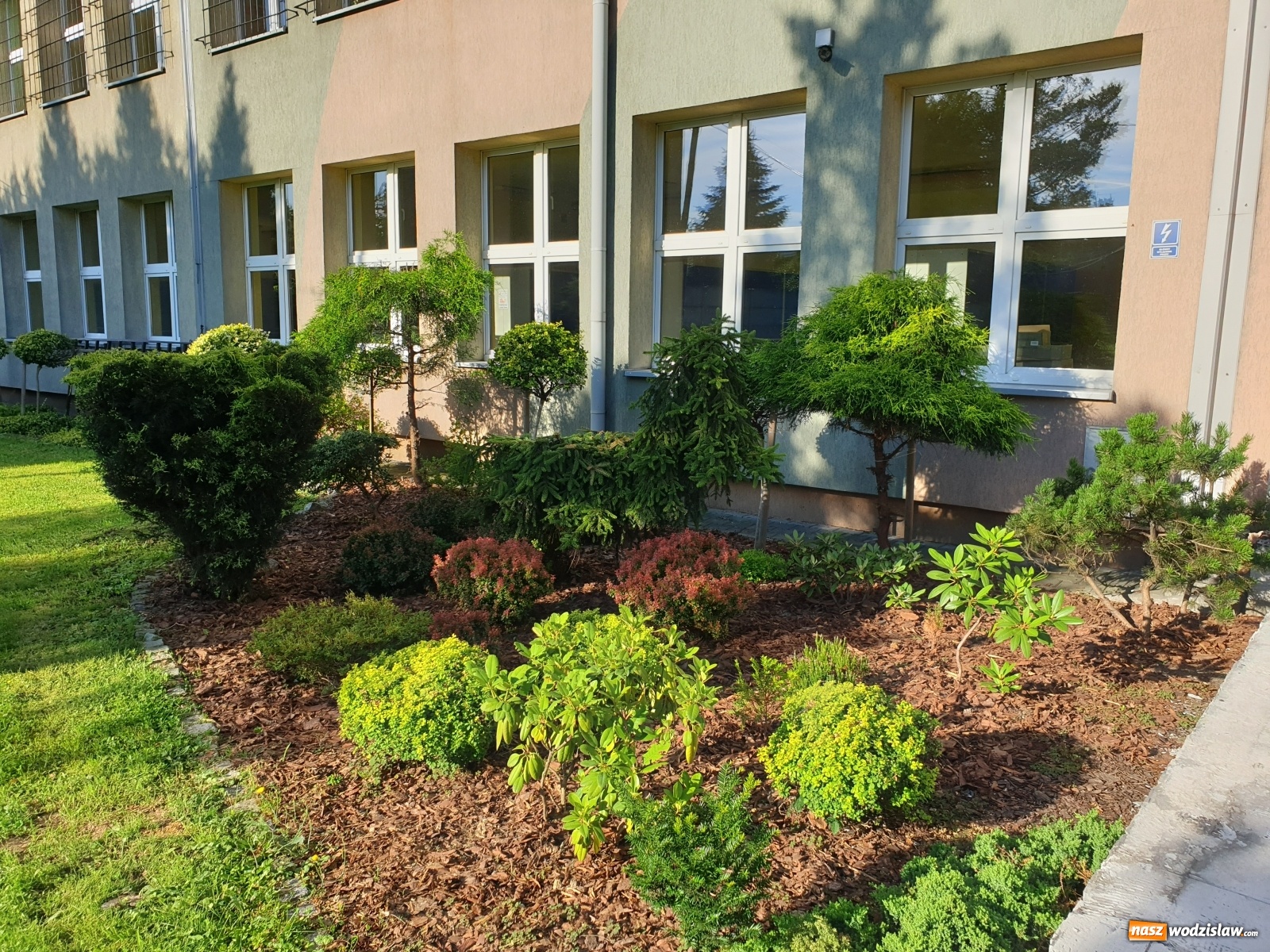 Zdjęcie w galerii na portalu naszwodzislaw.com: Co zmieniło się w pszowskich szkołach? wiadomości z regionu