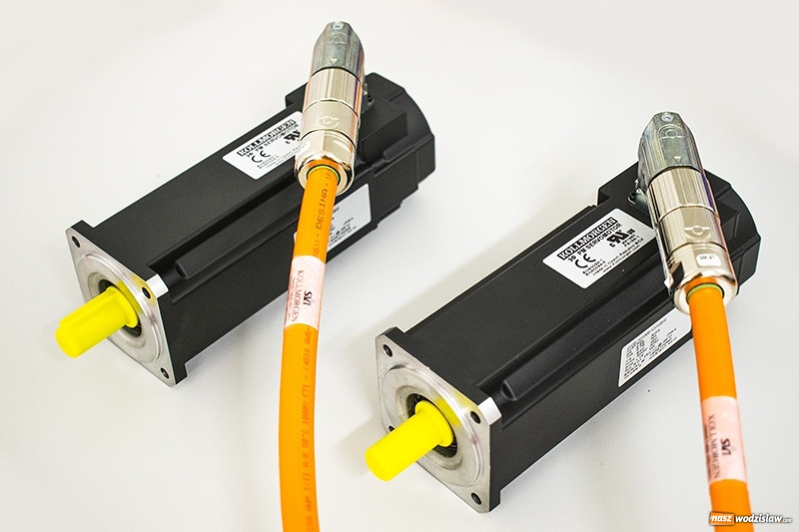 Zdjęcie w galerii na portalu naszwodzislaw.com: Firma Pivexin Technology zatrudni pracowników do działu technicznego wiadomości z regionu