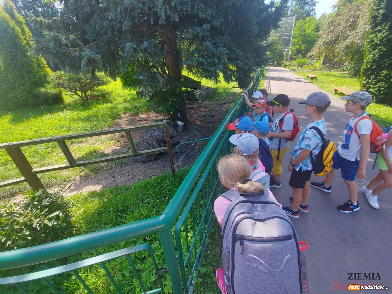 Zdjęcie w galerii na portalu naszwodzislaw.com: Akademia Sportowa Top Team. Akcja Integracja!  wiadomości z regionu