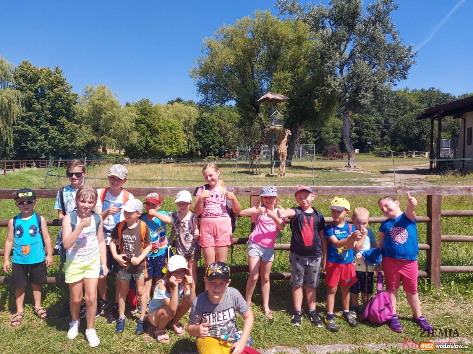 Zdjęcie w galerii na portalu naszwodzislaw.com: Akademia Sportowa Top Team. Akcja Integracja!  wiadomości z regionu