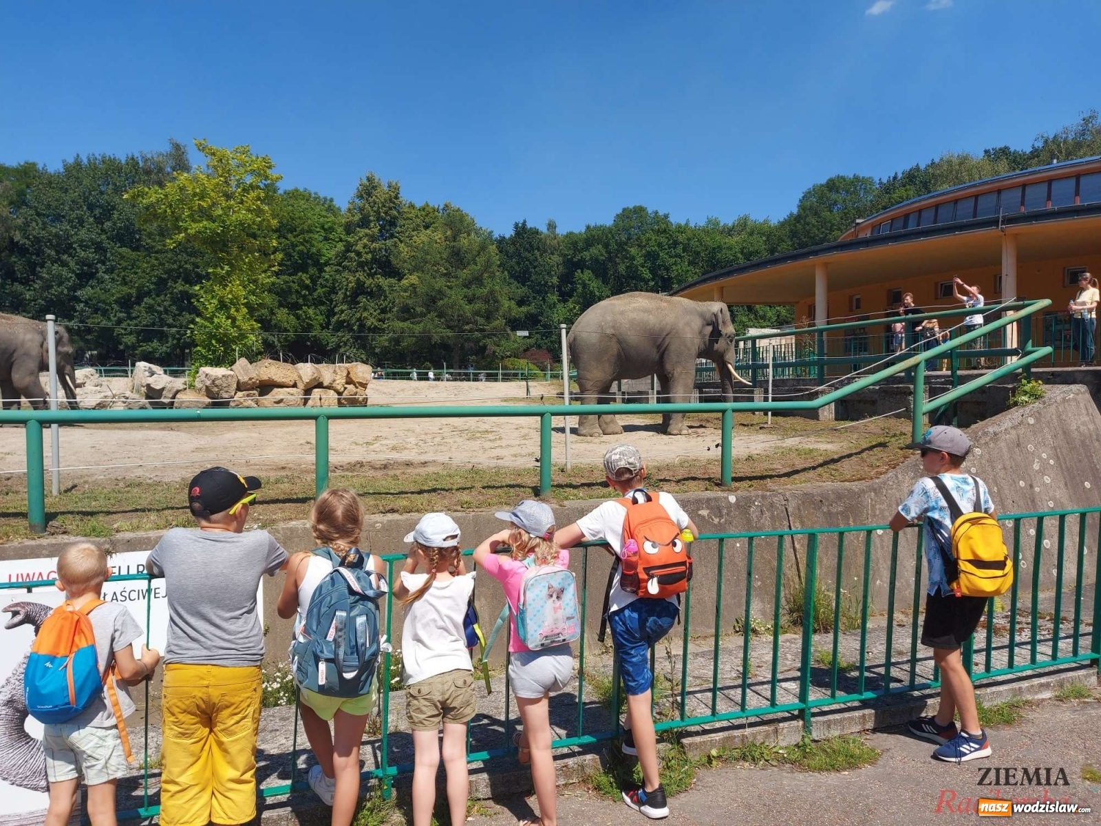 Zdjęcie w galerii na portalu naszwodzislaw.com: Akademia Sportowa Top Team. Akcja Integracja!  wiadomości z regionu