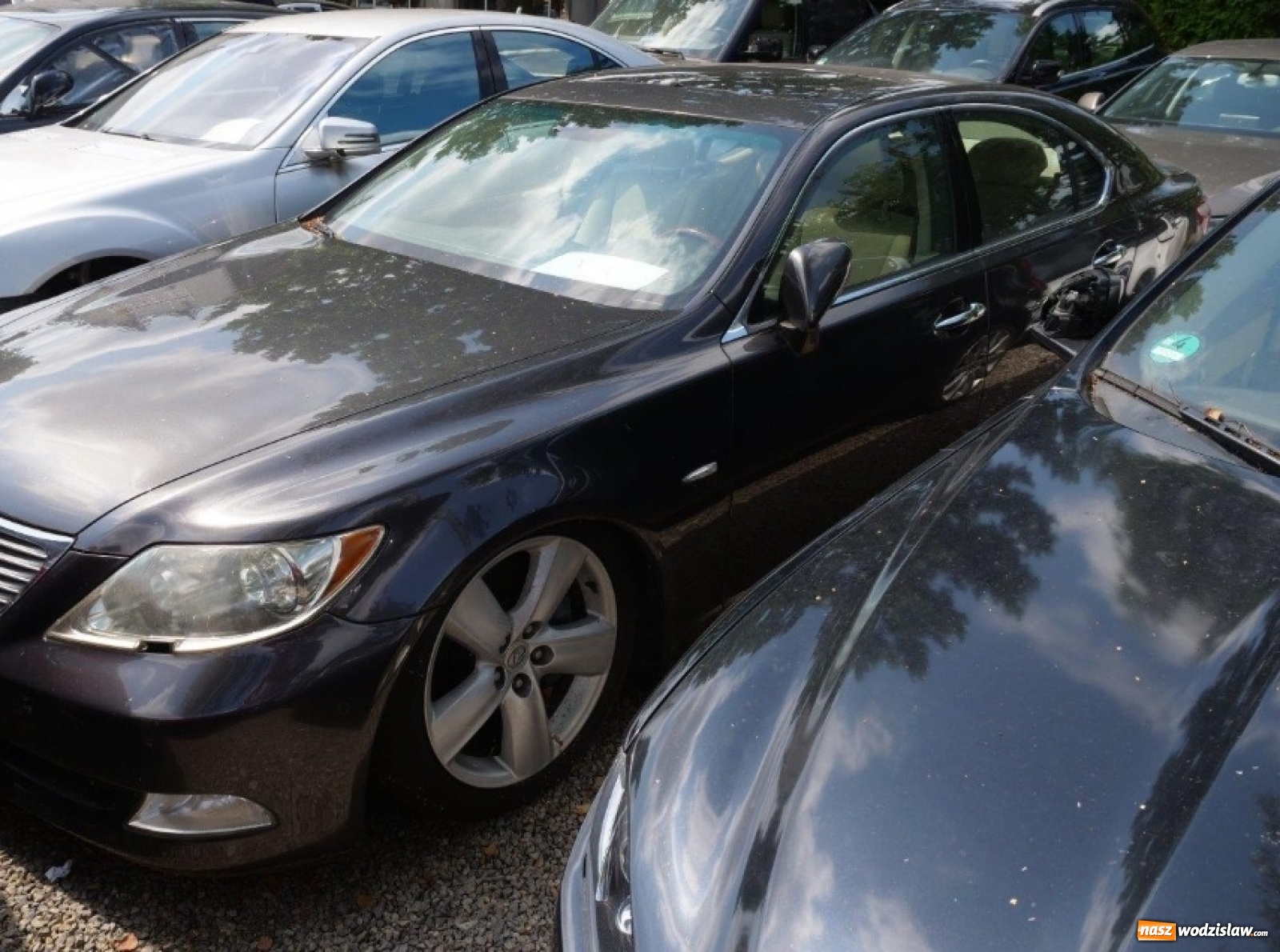 Zdjęcie w galerii na portalu naszwodzislaw.com: Śląska skarbówka wystawiła na licytację markowe samochody  wiadomości z regionu