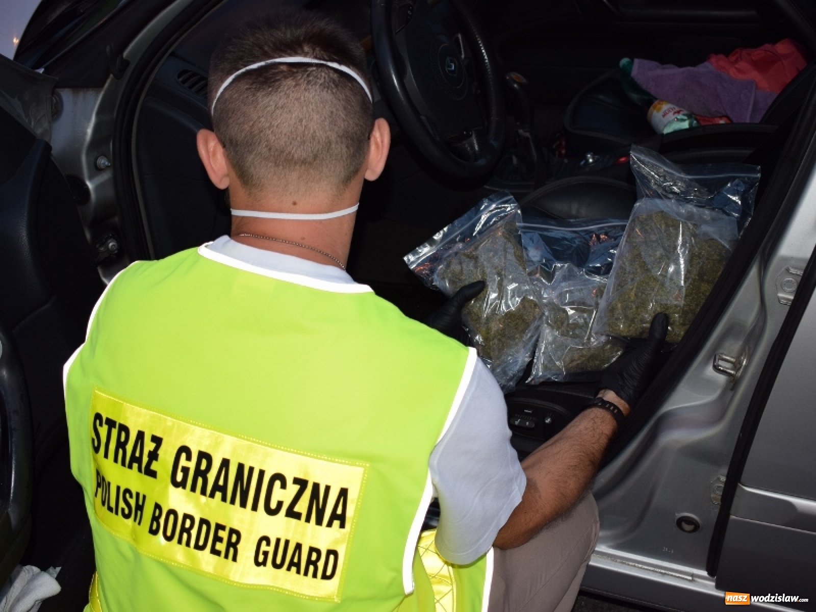 Zdjęcie w galerii na portalu naszwodzislaw.com: Pół kilograma marihuany ujawnione podczas rutynowej kontroli wiadomości z regionu