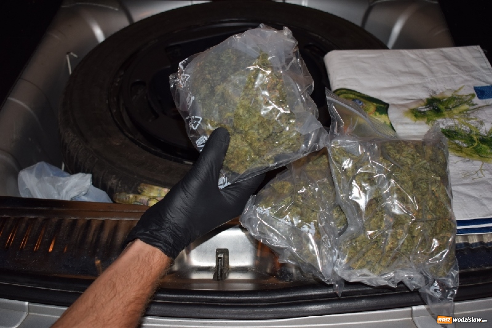 Zdjęcie w galerii na portalu naszwodzislaw.com: Pół kilograma marihuany ujawnione podczas rutynowej kontroli wiadomości z regionu