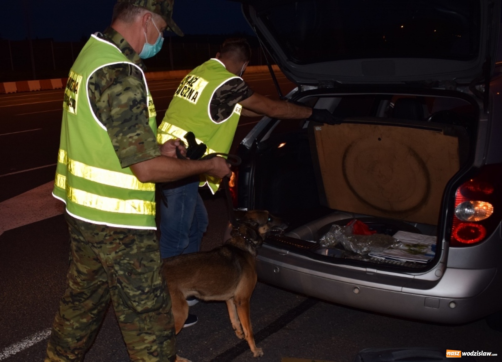 Zdjęcie w galerii na portalu naszwodzislaw.com: Pół kilograma marihuany ujawnione podczas rutynowej kontroli wiadomości z regionu