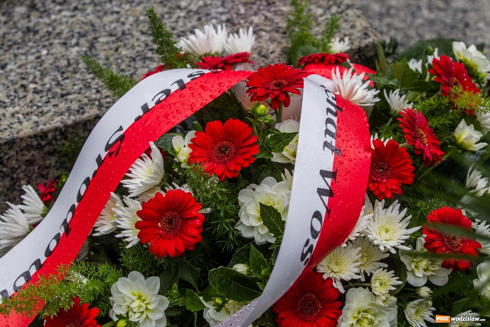 Zdjęcie w galerii na portalu naszwodzislaw.com: Minister Michał Woś wraz z leśnikami złożył hołd Powstańcom Śląskim wiadomości z regionu