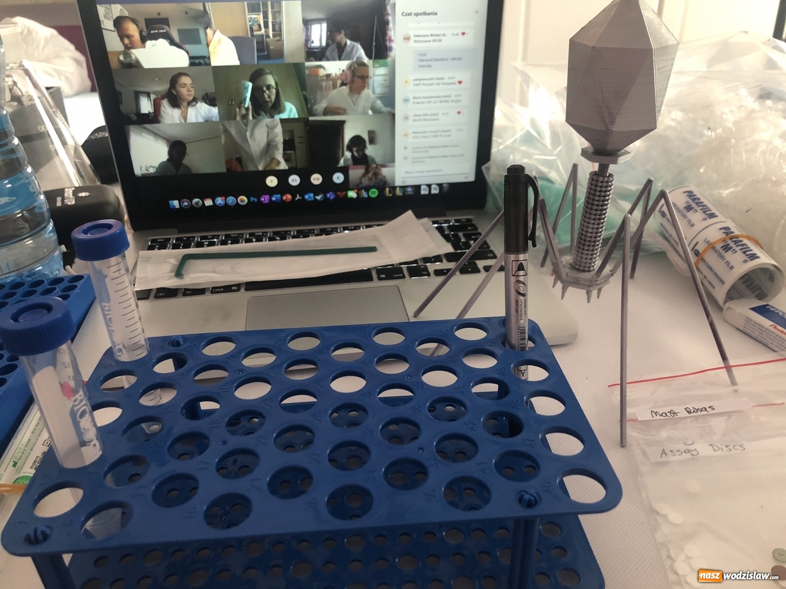 Zdjęcie w galerii na portalu naszwodzislaw.com: Uczniowie ze Śląska na wyjątkowym zdalnym obozie naukowym wiadomości z regionu